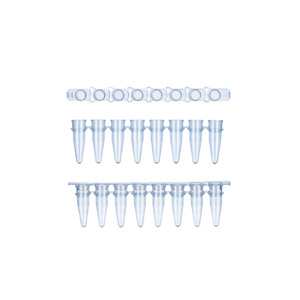 Thin-Wall PCR Eight Connected Pipe