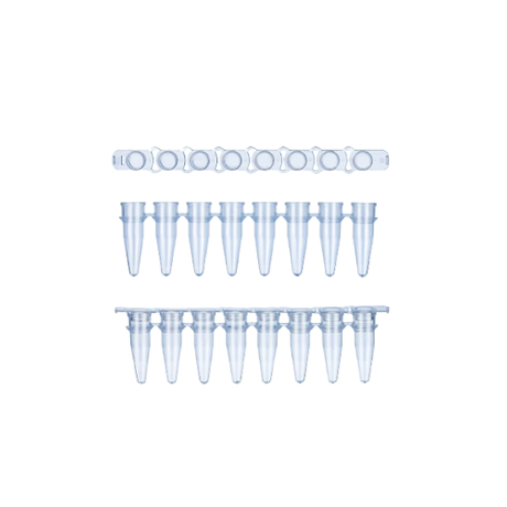 Thin-Wall PCR Eight Connected Pipe