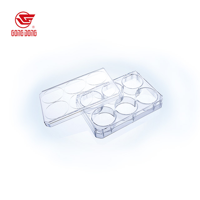 Cell Culture Plate TC-Treated