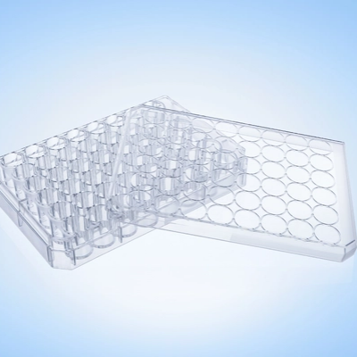 Cell Culture Plate 