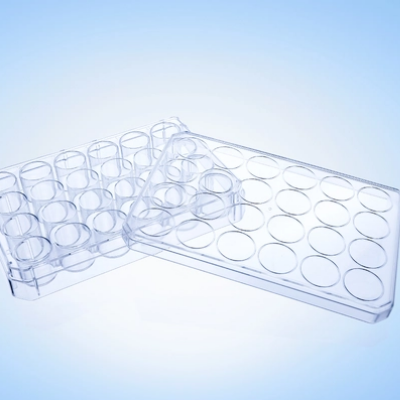 Cell Culture Plate 