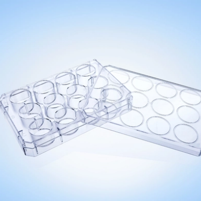 Cell Culture Plate 