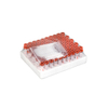 Capillary Blood Collection Tube