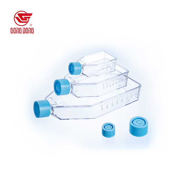 Cell Culture Flask